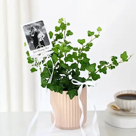 07 Heartfelt Gift Ideas for Wife Appreciation Day in the UAE